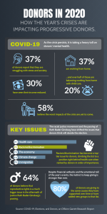 Infographic - Donors in 2020